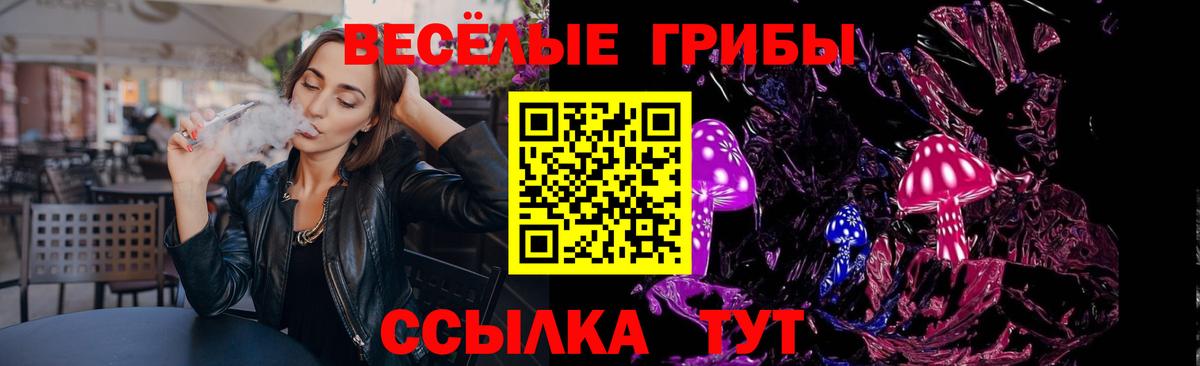 Псилоцибиновые грибы GOLDEN TEACHER Нижнекамск