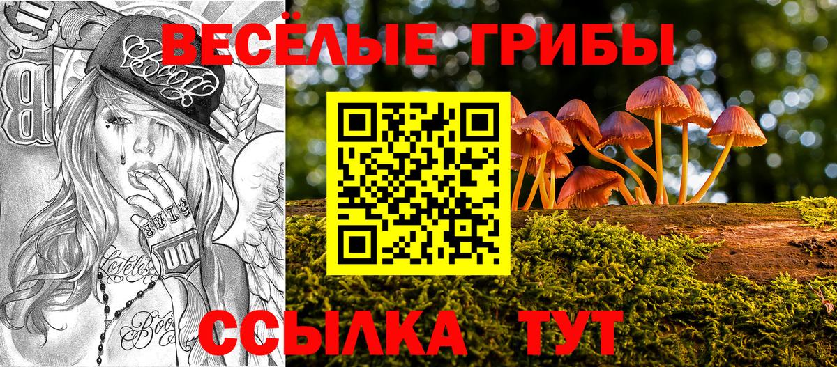 Псилоцибиновые грибы Cubensis  Галлюциногенные грибы Psilocybine cubensis  купить закладку  Нижнекамск  Вход с VPN 